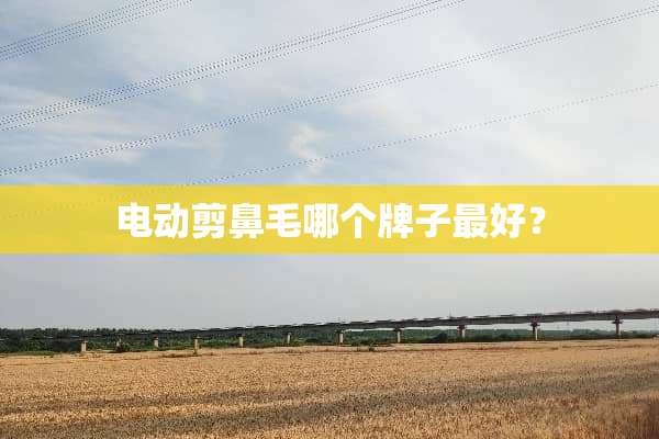 电动剪鼻毛哪个牌子最好？