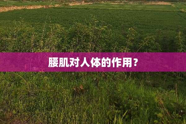 腰肌对人体的作用？