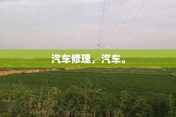 汽车修理，汽车。