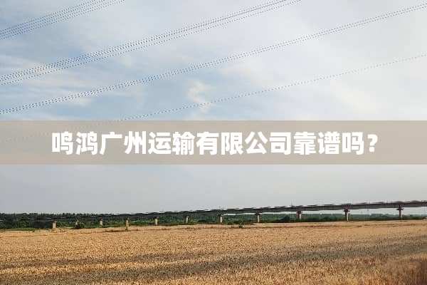 鸣鸿广州运输有限公司靠谱吗？