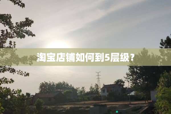 淘宝店铺如何到5层级？