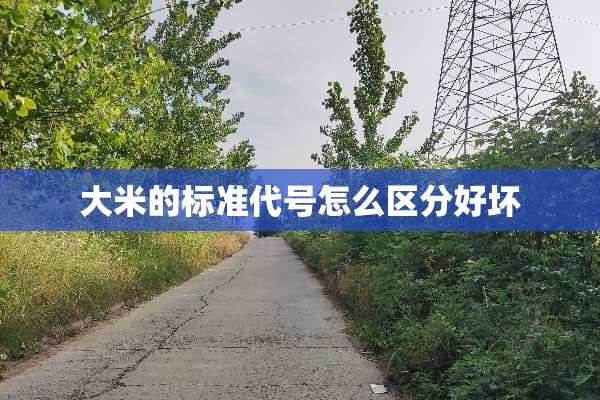 大米的标准代号怎么区分好坏