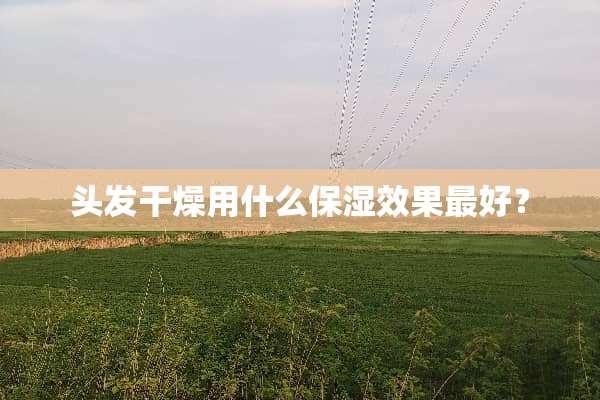 头发干燥用什么保湿效果最好？