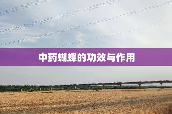 中药蝴蝶的功效与作用