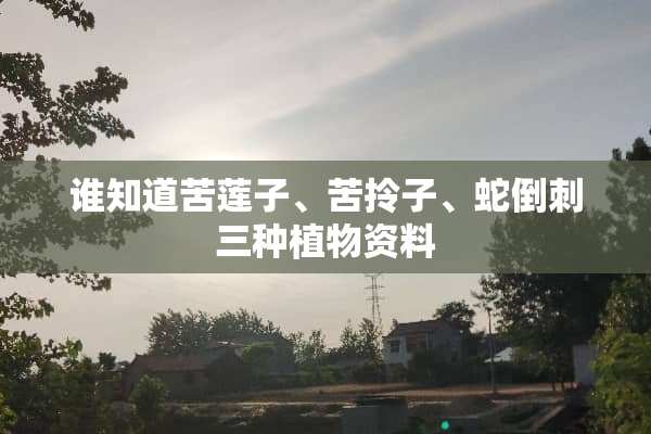 谁知道苦莲子、苦拎子、蛇倒刺三种植物资料