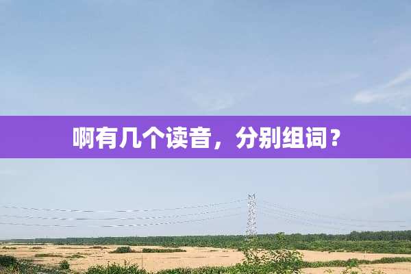 啊有几个读音，分别组词？