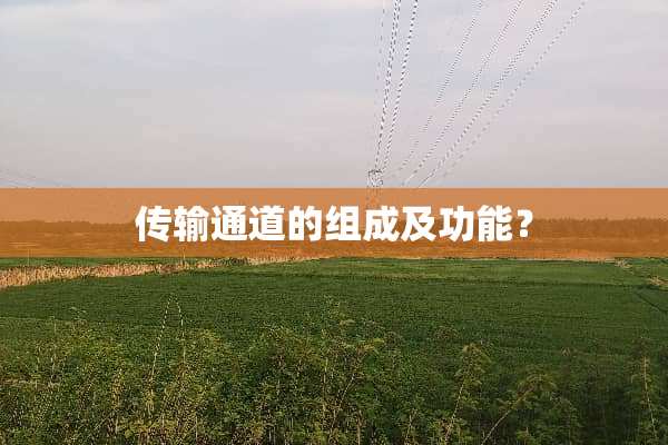 传输通道的组成及功能？
