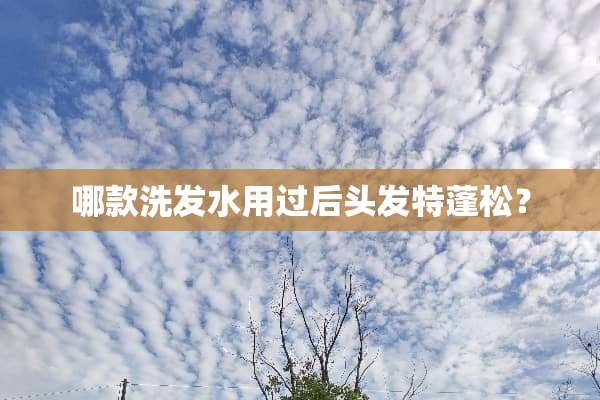 哪款洗发水用过后头发特蓬松？