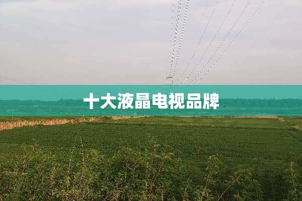 十大液晶电视品牌
