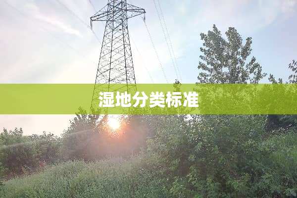 湿地分类标准