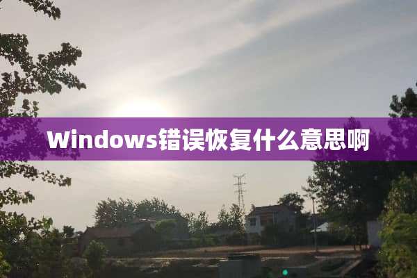 Windows错误恢复什么意思啊
