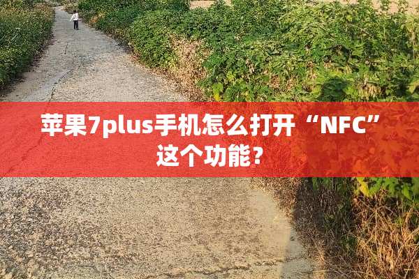苹果7plus手机怎么打开“NFC”这个功能？