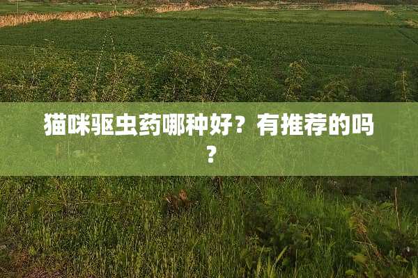 猫咪驱虫药哪种好？有推荐的吗？