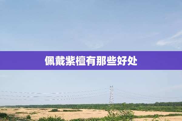 佩戴紫檀有那些好处