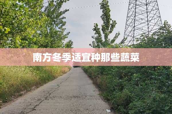 南方冬季适宜种那些蔬菜