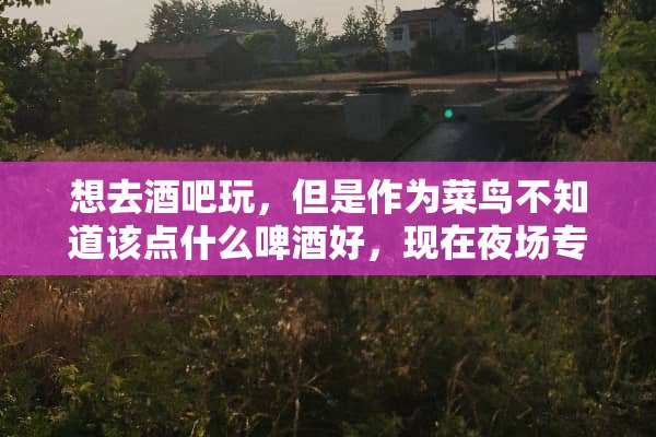 想去酒吧玩，但是作为菜鸟不知道该点什么啤酒好，现在夜场专用的啤酒都有哪几种啊？