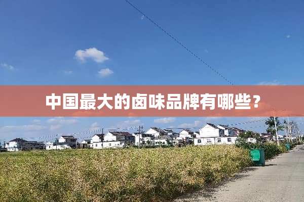 中国最大的卤味品牌有哪些？