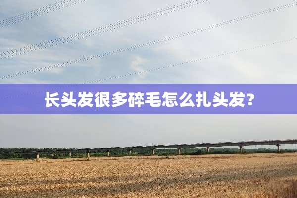 长头发很多碎毛怎么扎头发？