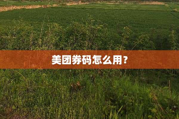美团券码怎么用？