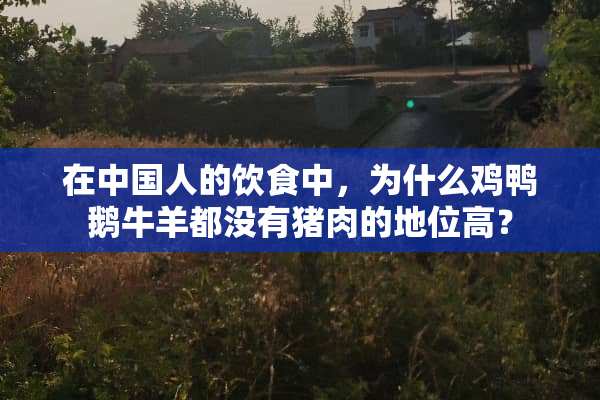 在中国人的饮食中，为什么鸡鸭鹅**都没有猪肉的地位高？