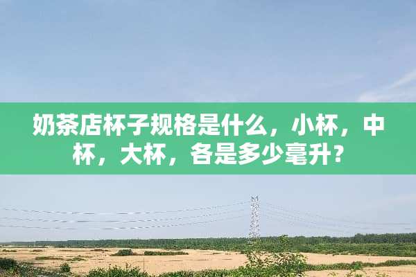 奶茶店杯子规格是什么，小杯，中杯，大杯，各是多少毫升？