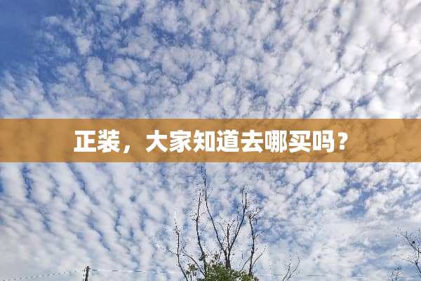 正装，大家知道去哪买吗？