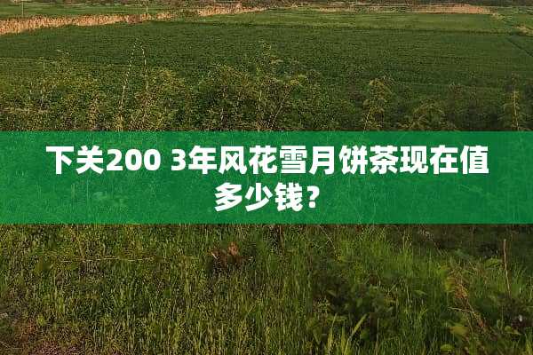 下关200 3年风花雪月饼茶现在值多少钱？