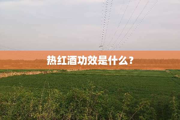 热红酒功效是什么？