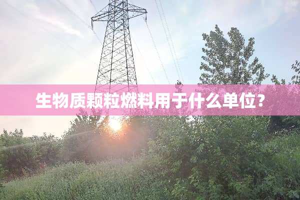 生物质颗粒燃料用于什么单位？