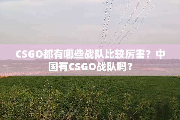 CSGO都有哪些战队比较厉害？中国有CSGO战队吗？