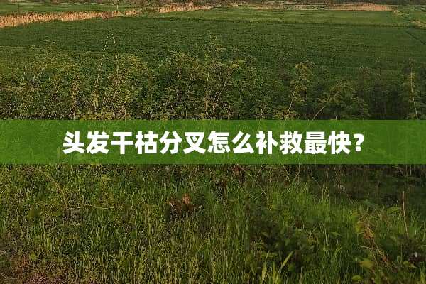 头发干枯分叉怎么补救最快？