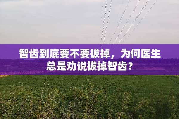 智齿到底要不要拔掉，为何医生总是劝说拔掉智齿？