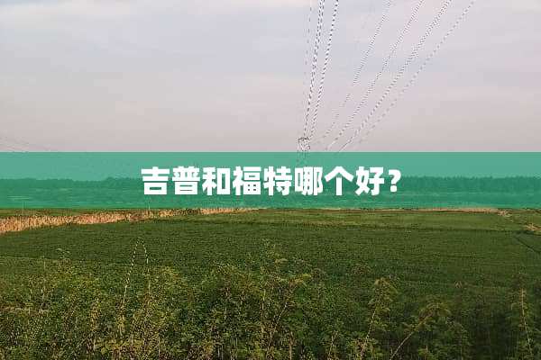 吉普和福特哪个好？