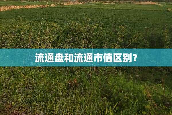 流通盘和流通市值区别？