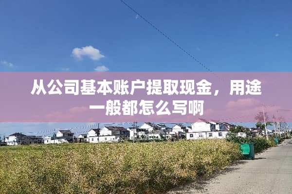 从公司基本账户提取现金，用途一般都怎么写啊