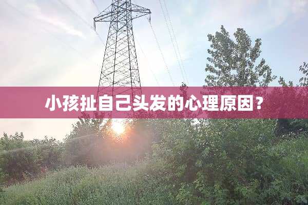 小孩扯自己头发的心理原因？