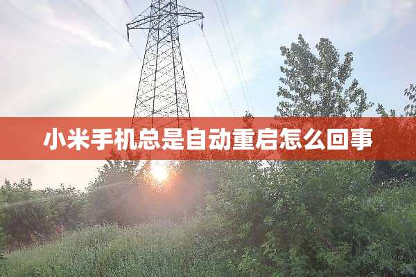 小米手机总是自动重启怎么回事