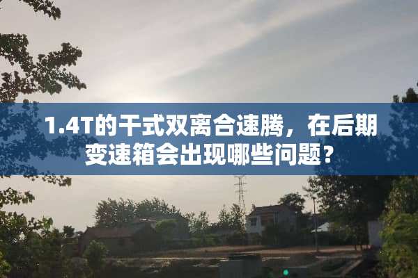 1.4T的干式双离合速腾，在后期变速箱会出现哪些问题？