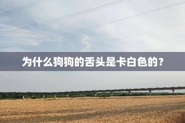 为什么狗狗的舌头是卡白色的？