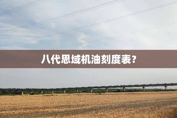 八代思域机油刻度表？