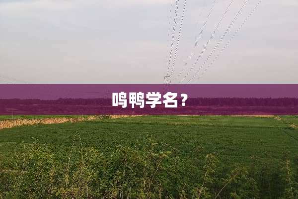 鸣鸭学名？