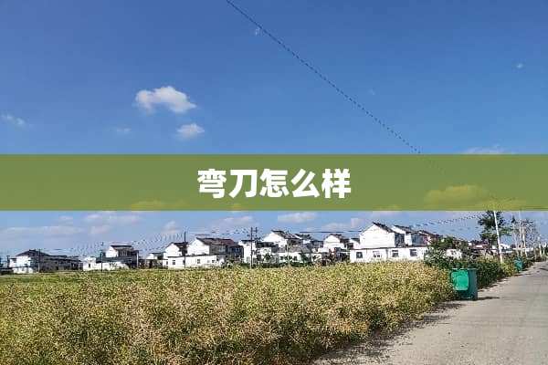 弯刀怎么样