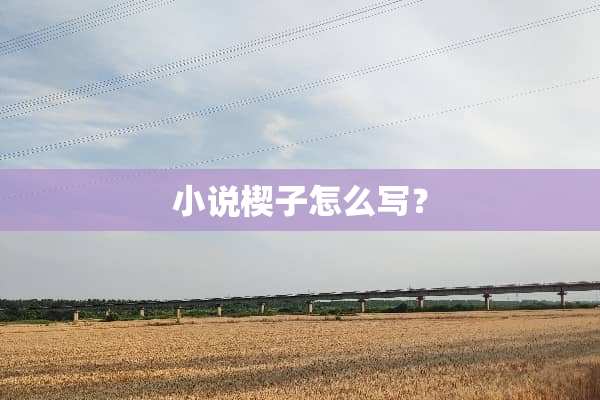小说楔子怎么写？