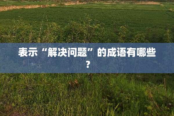 表示“解决问题”的成语有哪些？