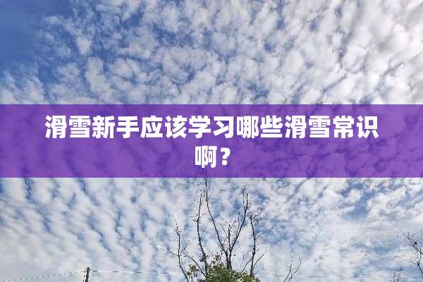 滑雪新手应该学习哪些滑雪常识啊？