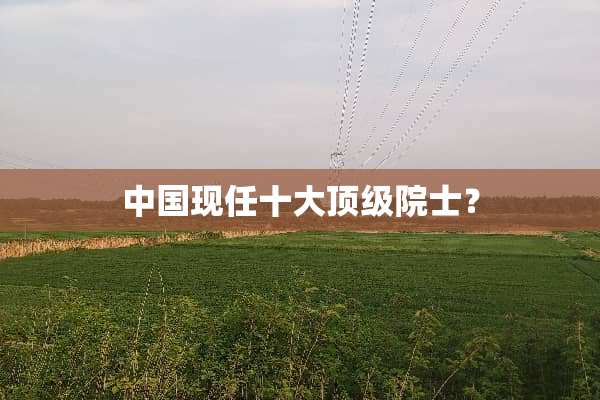 中国现任十大**院士？
