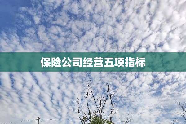 保险公司经营五项指标
