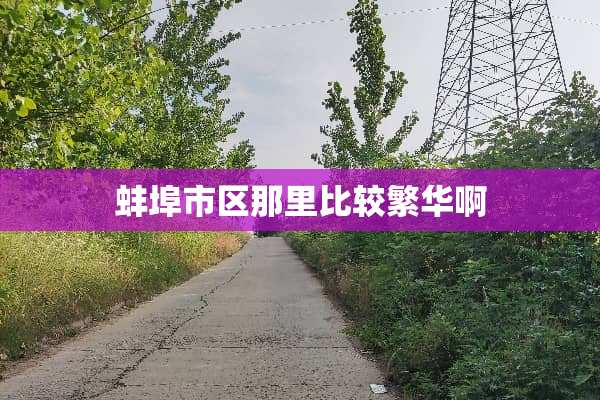 蚌埠市区那里比较繁华啊