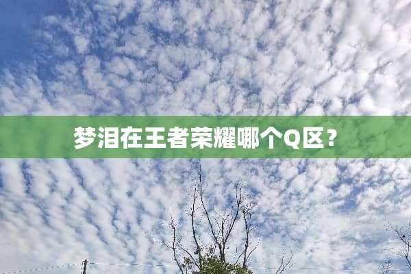 梦泪在王者荣耀哪个Q区？