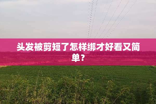 头发被剪短了怎样绑才好看又简单？